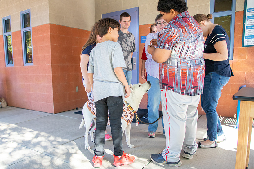 A group of kids stand around a white service dog